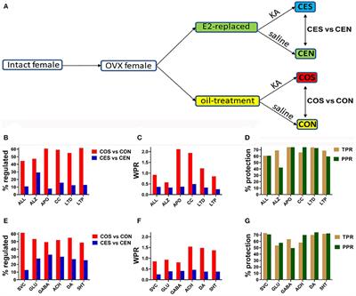 Estrogen Protects Neurotransmission Transcriptome During Status Epilepticus